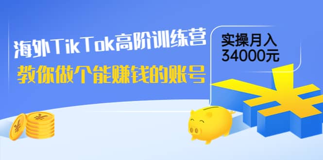 海外TikTok高阶训练营：教你做个能赚钱的账号，实操月入34000元！-小小小弦