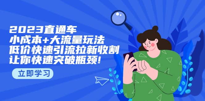 2023直通小成本+大流量玩法，低价快速引流拉新收割，让你快速突破瓶颈-小小小弦