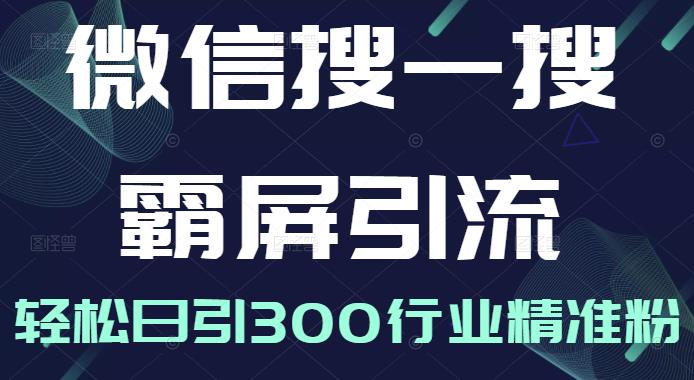 微信搜一搜霸屏引流课，打造被动精准引流系统，轻松日引300行业精准粉【无水印】-小小小弦