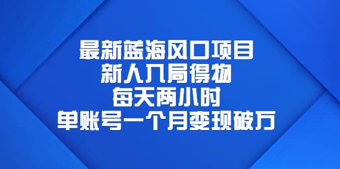 最新蓝海风口项目，新人入局得物，每天两小时，单账号一个月变现破万-小小小弦