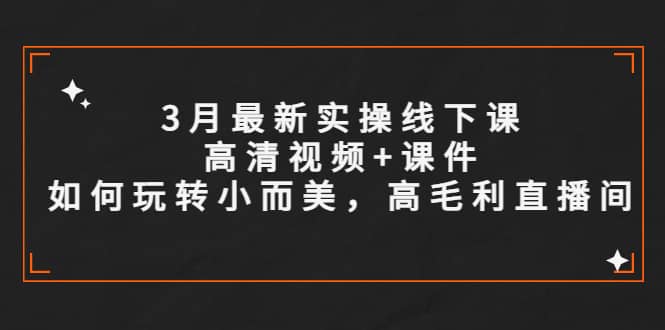 3月最新实操线下课高清视频+课件，如何玩转小而美，高毛利直播间-小小小弦