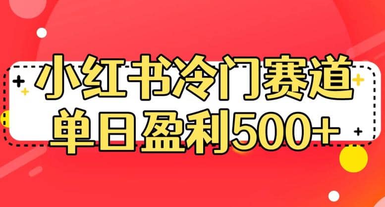 小红书冷门赛道，单日盈利500+【揭秘】-小小小弦