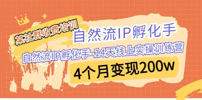 某社群收费培训：自然流IP 孵化手-14天线上实操训练营 4个月变现200w-小小小弦