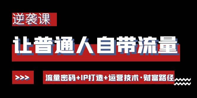 让普通人自带流量的逆袭课：流量密码+IP打造+运营技术·财富路径-小小小弦