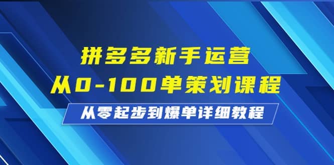 拼多多新手运营从0-100单策划课程，从零起步到爆单详细教程-小小小弦