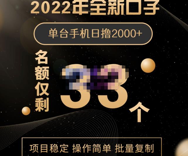 2022年全新口子，手机批量搬砖玩法，一部手机日撸2000+-小小小弦