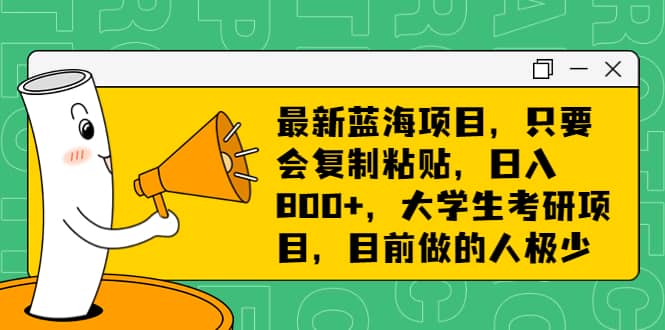 最新蓝海项目，只要会复制粘贴，日入800+，大学生考研项目，目前做的人极少-小小小弦