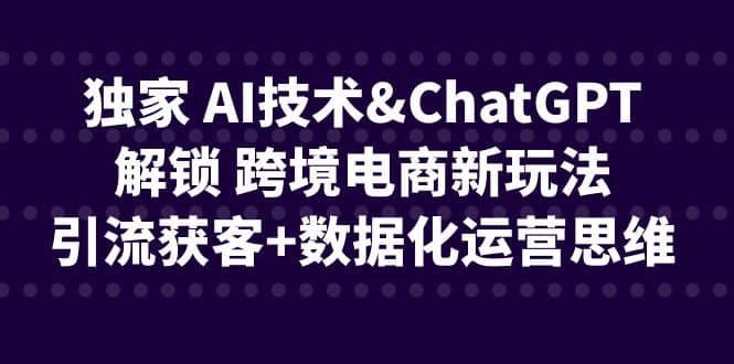 独家 AI技术ChatGPT解锁 跨境电商新玩法，引流获客+数据化运营思维-小小小弦