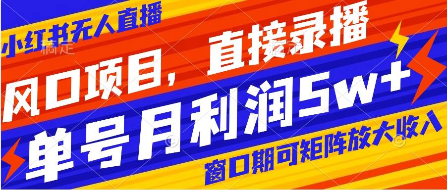 风口项目，小红书无人直播带货，直接录播，可矩阵，月入5w+-小小小弦