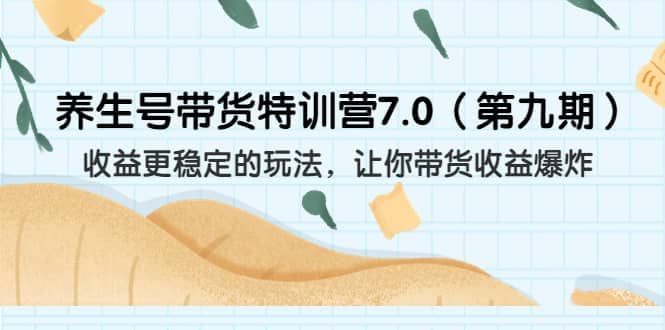 养生号带货特训营7.0（第九期）收益更稳定的玩法 让你带货收益爆炸（11节）-小小小弦