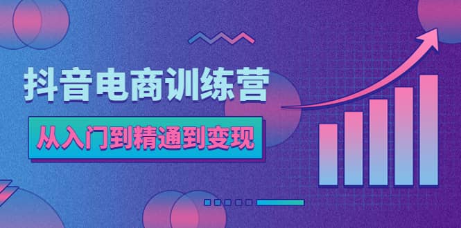 抖音电商训练营：从入门到精通，从账号定位到流量变现，抖店运营实操-小小小弦