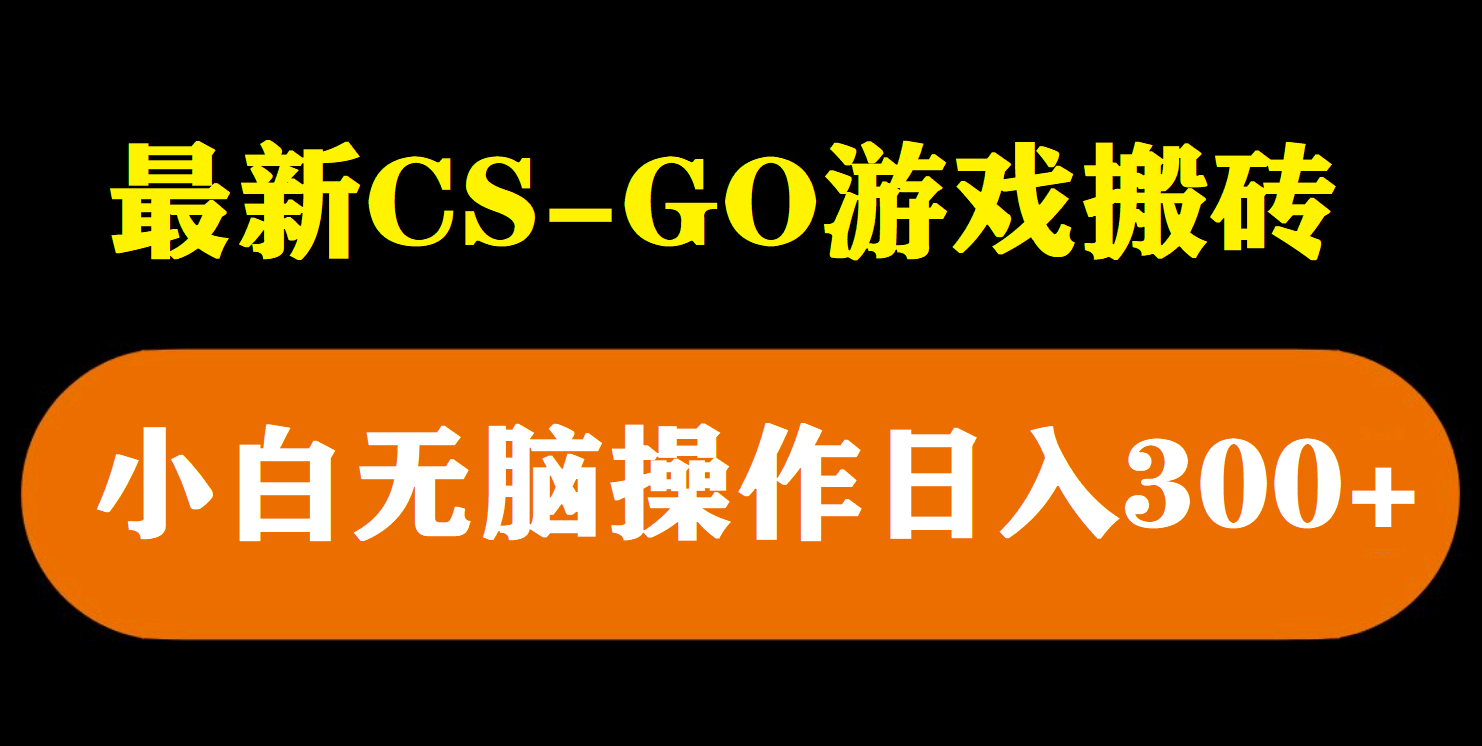 最新csgo游戏搬砖游戏，无需挂机小白无脑也能日入300+-小小小弦