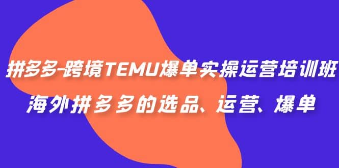 拼多多-跨境TEMU爆单实操运营培训班，海外拼多多的选品、运营、爆单-小小小弦