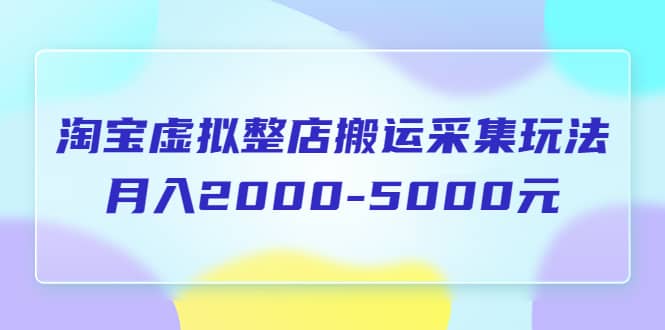 淘宝虚拟整店搬运采集玩法分享课：月入2000-5000元（5节课）-小小小弦