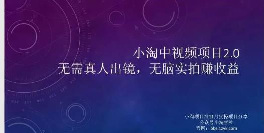 小淘项目组网赚永久会员，绝对是具有实操价值的，适合有项目做需要流程【持续更新】-小小小弦