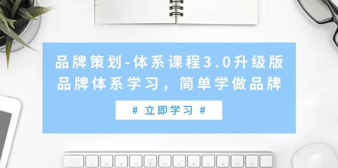 品牌策划-体系课程3.0升级版，品牌体系学习，简单学做品牌（高清无水印）-小小小弦