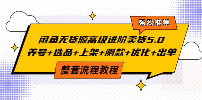 闲鱼无货源高级进阶卖货5.0，养号+选品+上架+测款+优化+出单整套流程教程-小小小弦