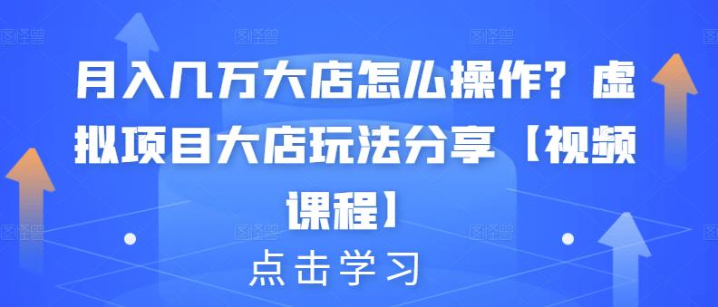 月入几万大店怎么操作？虚拟项目大店玩法分享【视频课程】-小小小弦