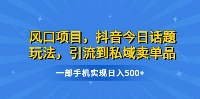 风口项目，抖音今日话题玩法，引流到私域卖单品，一部手机实现日入500+-小小小弦