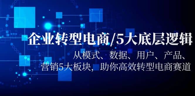 企业转型电商/5大底层逻辑，从模式 数据 用户 产品 营销5大板块，高效转型-小小小弦