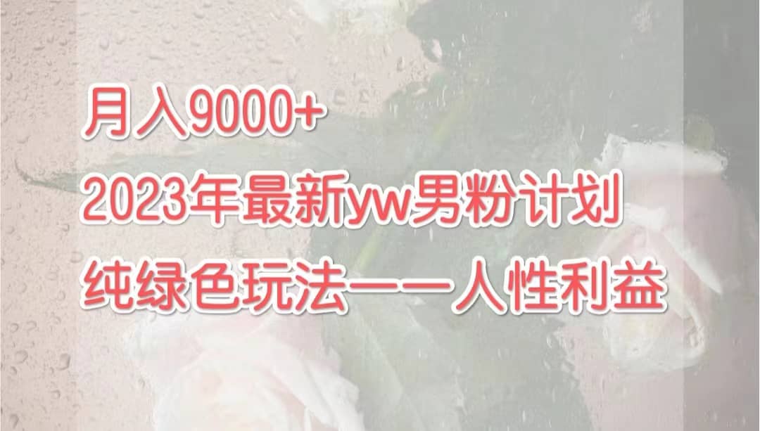 月入9000+2023年9月最新yw男粉计划绿色玩法——人性之利益-小小小弦