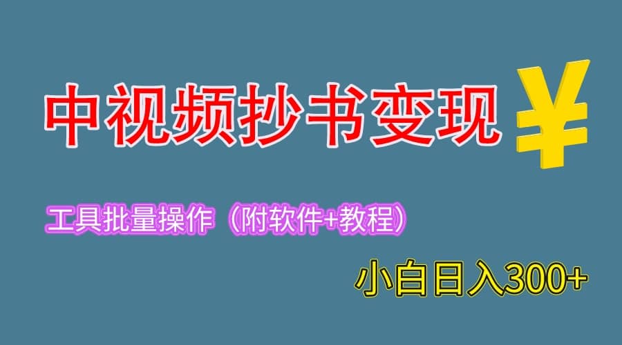 2023中视频抄书变现（附工具+教程），一天300+，特别适合新手操作的副业-小小小弦