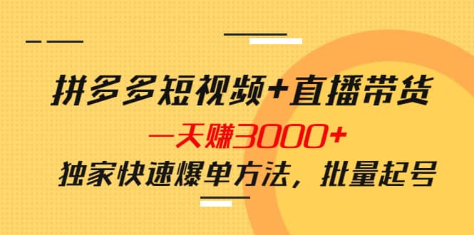 拼多多短视频+直播带货，一天赚3000+独家快速爆单方法，批量起号-小小小弦