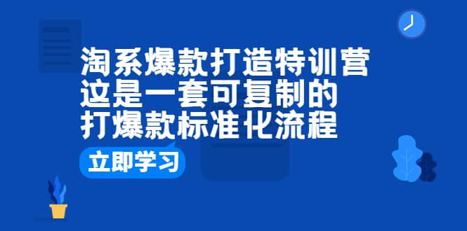 淘系爆款打造特训营：这是一套可复制的打爆款标准化流程-小小小弦