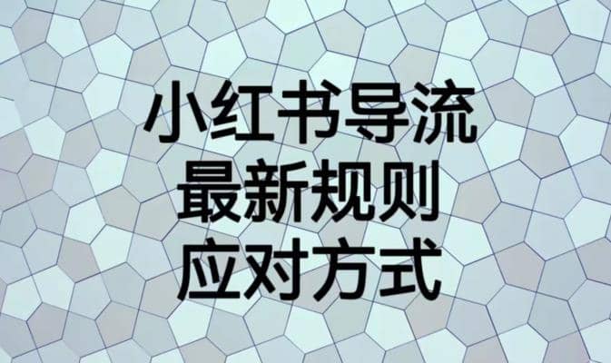 小红书导流最新规则应对方式【揭秘】-小小小弦