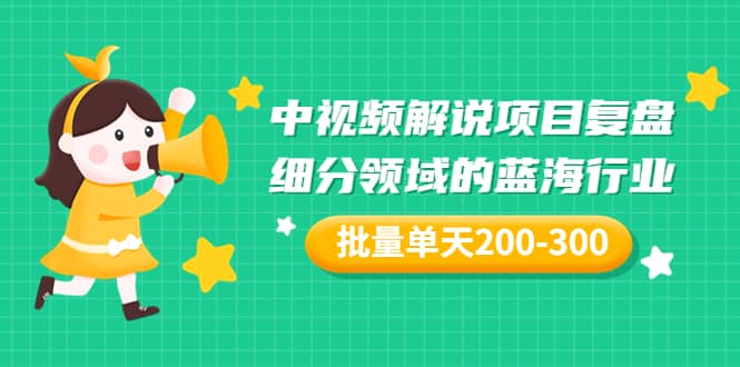 某付费文章：中视频解说项目复盘：细分领域的蓝海行业 批量单天200-300收益-小小小弦