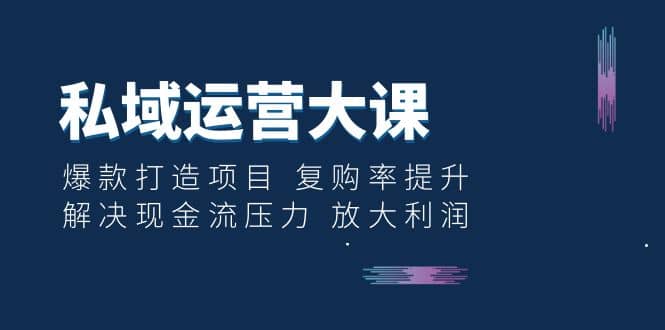 私域运营大课：爆款打造项目 复购率提升 解决现金流压力 放大利润-小小小弦