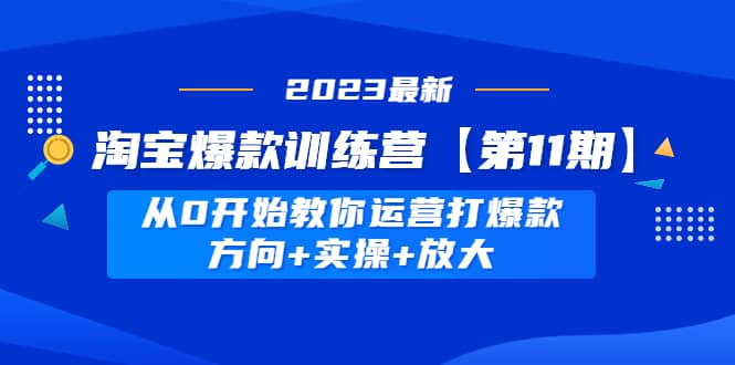 淘宝爆款训练营【第11期】 从0开始教你运营打爆款，方向+实操+放大-小小小弦