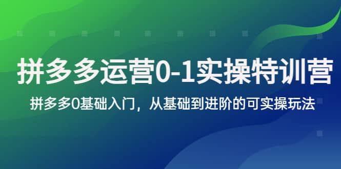 拼多多-运营0-1实操训练营，拼多多0基础入门，从基础到进阶的可实操玩法-小小小弦