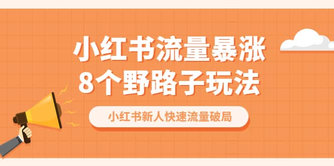 小红书流量-暴涨8个野路子玩法：小红书新人快速流量破局（8节课）-小小小弦