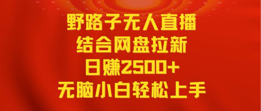 无人直播野路子结合网盘拉新，日赚2500+多平台变现，小白无脑轻松上手操作-小小小弦