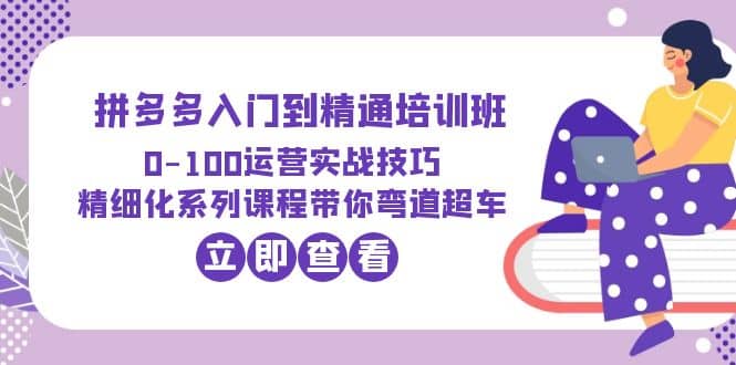 2023拼多多入门到精通培训班：0-100运营实战技巧 精细化系列课带你弯道超车-小小小弦