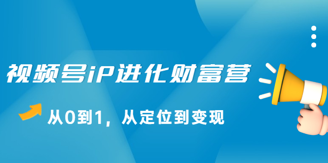 视频号iP进化财富营第1期，21天从0到1，从定位到变现-小小小弦