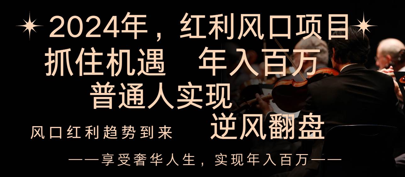 2024红利风口项目来袭，享受第一波红利，逆风翻盘普通人也能实现，年入百万-小小小弦