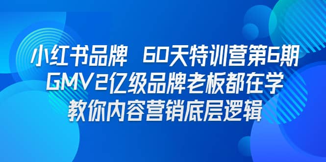 小红书品牌 60天特训营第6期 GMV2亿级品牌老板都在学 教你内容营销底层逻辑-小小小弦