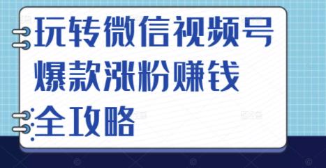 玩转微信视频号爆款涨粉赚钱全攻略，让你快速抓住流量风口，收获红利财富-小小小弦