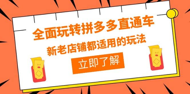 全面玩转拼多多直通车，新老店铺都适用的玩法（12节精华课）-小小小弦