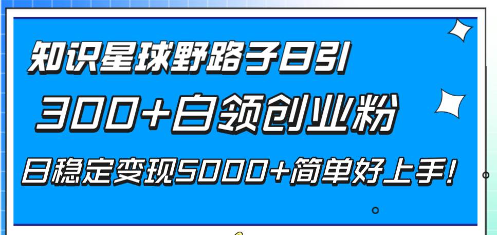 知识星球野路子日引300+白领创业粉，日稳定变现5000+简单好上手！-小小小弦