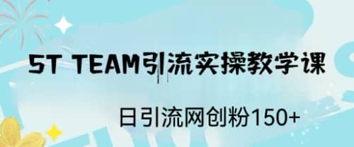 ST TEAM引流实操课，日引流网创粉100+-小小小弦