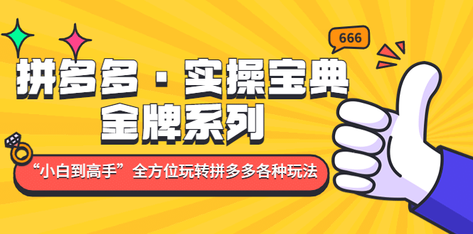 拼多多·实操宝典：金牌系列“小白到高手”带你全方位玩转拼多多各种玩法-小小小弦