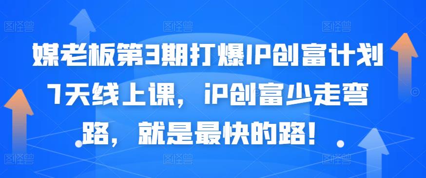 媒老板第3期打爆IP创富计划7天线上课，iP创富少走弯路，就是最快的路！-小小小弦