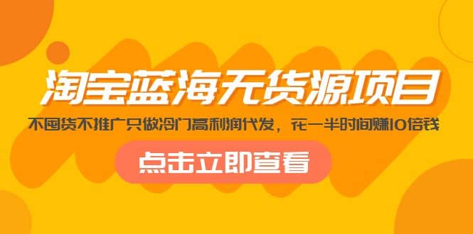 淘宝蓝海无货源项目，不囤货不推广只做冷门高利润代发-小小小弦