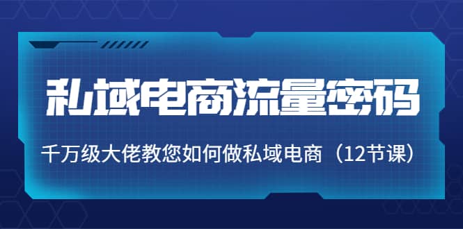 私域电商流量密码：千万级大佬教您如何做私域电商（12节课）-小小小弦