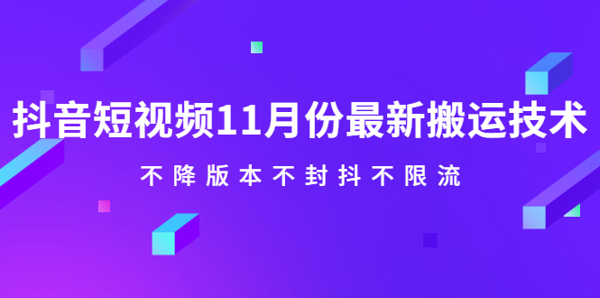 抖音短视频11月份最新搬运技术，不降版本不封抖不限流！【视频课程】-小小小弦