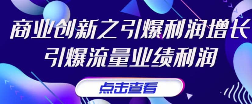 《商业创新之引爆利润增长》引爆流量业绩利润-小小小弦