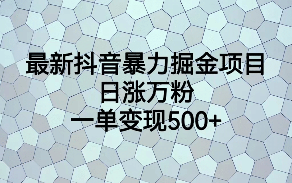 最火热的抖音暴力掘金项目，日涨万粉，多种变现方式，一单变现可达500+-小小小弦